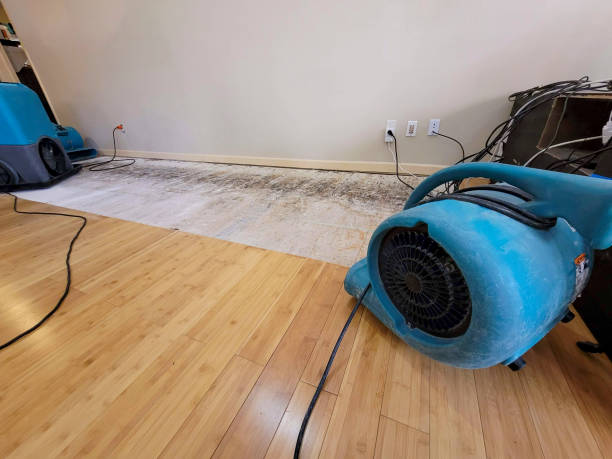 Professional Basement Flood Cleanup technician working in Hartland, MN